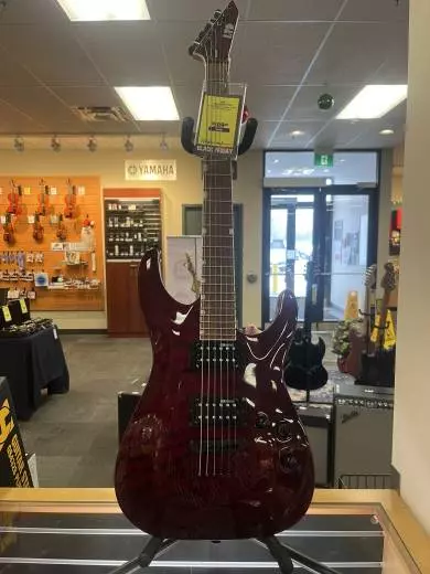 ESP Guitars - LMH200QMNTSTBC